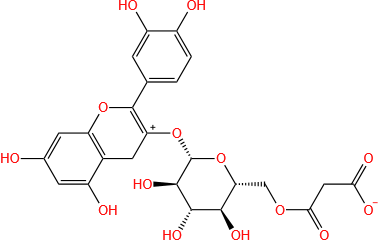 矢车菊素-3-(6-丙二酰葡糖苷)