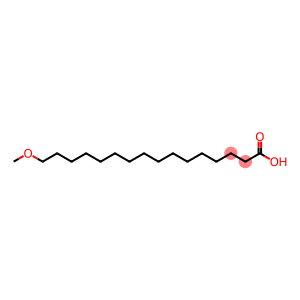 16-Methoxyhexadecanoicacid