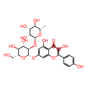 7-[[2-O-(6-deoxy-alpha-L-mannopyranosyl)-beta-D-glucopyranosyl]oxy]-3,5-dihydroxy-2-(4-hydroxyphenyl)-4H-benzopyran-4-one