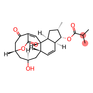 Propanoic acid, 2-methyl-, (5R,7R,8aS,10aS,11S,12S,13aR,13bS)-3,5,6,7,8,8a,10a,11,12,13,13a,13b-dodecahydro-7-hydroxy-12-methyl-3,15-dioxo-2,5-ethano(1Z)-indeno[4,5-e]oxecin-11-yl ester