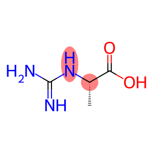 N-(Aminoiminomethyl)-L-alanine
