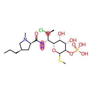 克林霉素(2R-顺式)-非对映体2-磷酸