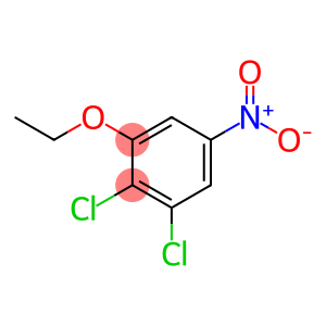 1,2-Dichloro-3-ethoxy-5-nitrobenzene