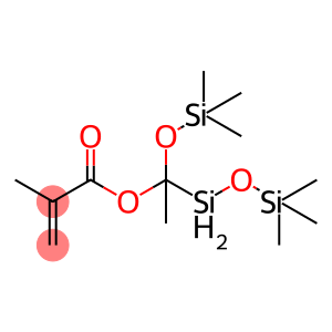 (甲基丙烯酰氧基甲基)双(三甲基硅氧基)甲基硅烷
