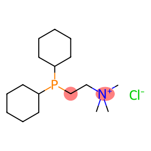 [2-(双环己基磷)乙基]三甲基氯化铵