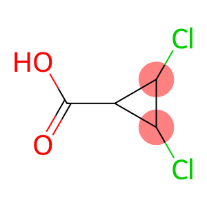 Cyclopropanecarboxylic acid, 2,3-dichloro- (9CI)
