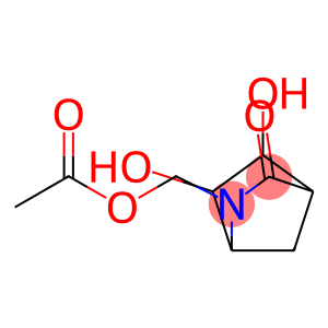 2-Azabicyclo[2.2.1]heptan-3-one, 2-[(acetyloxy)methyl]-5,6-dihydroxy- (9CI)