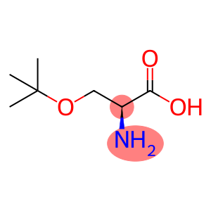 O-tert-丁酯-L-丝氨酸