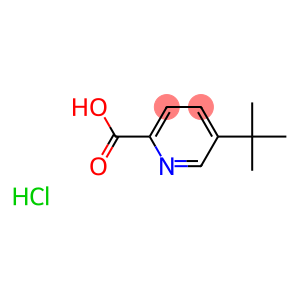 5-(tert-butyl)pyridine-2-carboxylicacidhydrochloride