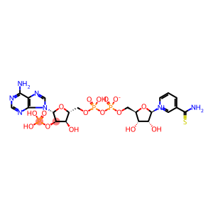 thionicotinamide adenine dinucleotide phosphate monos. sa