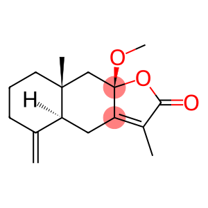 8β-Methoxyatractylenolide I