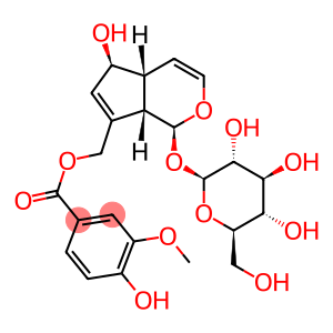 β-D-Glucopyranoside, (1S,4aR,5S,7aS)-1,4a,5,7a-tetrahydro-5-hydroxy-7-[[(4-hydroxy-3-methoxybenzoyl)oxy]methyl]cyclopenta[c]pyran-1-yl