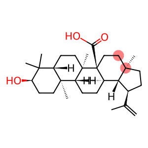 (3α)-3-Hydroxylup-20(29)-en-27-oic acid