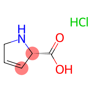 3,4-Dehydro-L-proline hydrochloride