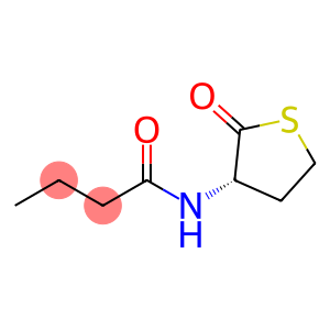 N-丁酰-L-高半胱氨酸硫内酯