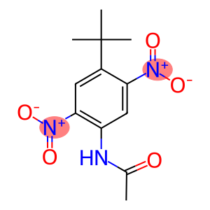 N-{4-tert-butyl-2,5-bisnitrophenyl}acetamide