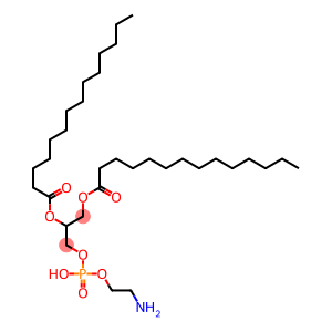 1,2-dimyristoylphosphatidylethanolamine
