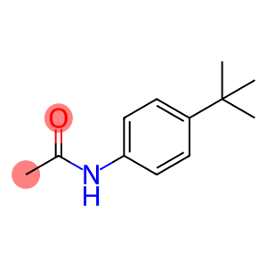N-[4-(1,1-二甲基乙基)苯基]乙酰胺