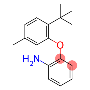 Benzenamine, 2-[2-(1,1-dimethylethyl)-5-methylphenoxy]-