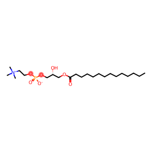 M-LYSOPC 1-十四酰-2-羟基卵磷脂