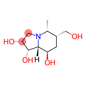 1,2,8-Indolizinetriol, octahydro-6-(hydroxymethyl)-5-methyl-, [1S-(1alpha,2alpha,5alpha,6alpha,8b