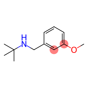 N-(3-甲氧基苄基)叔丁基胺
