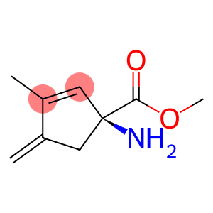 2-Cyclopentene-1-carboxylicacid,1-amino-3-methyl-4-methylene-,methylester,(1S)-(9CI)