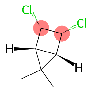 Bicyclo[2.1.0]pentane, 2,3-dichloro-5,5-dimethyl-, (1-alpha-,2-ba-,3-ba-,4-alpha-)- (9CI)