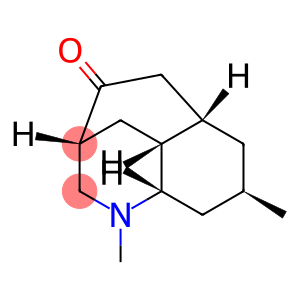 化合物 T32925