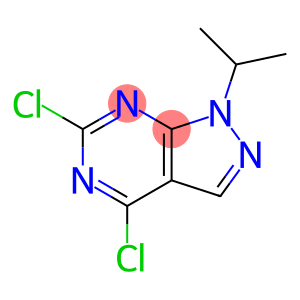 4,6-二氯-1-异丙基-1H-吡唑并[3,4-d]嘧啶