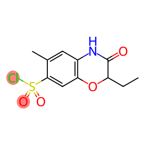 2-乙基-6-甲基-3-氧代-3,4-二氢-2H-苯并[B][1,4]噁嗪-7-磺酰氯
