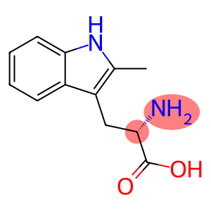 2-氨基-3-(2-甲基-1H-吲哚-3-基)丙酸