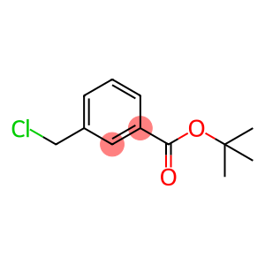 tert-butyl-3-(chloromethyl)benzoate