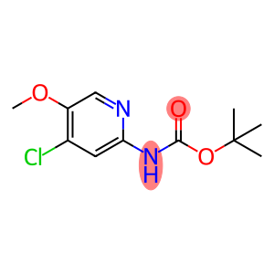Carbamic acid, N-(4-chloro-5-methoxy-2-pyridinyl)-, 1,1-dimethylethyl ester