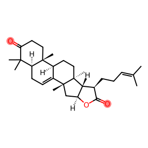 (13α,14β,17α)-16β-Hydroxy-3-oxo-5α-lanosta-7,24-dien-21-oic acid γ-lactone