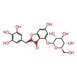 (Z)-4-(β-D-Glucopyranosyloxy)-6-hydroxy-2-[(3,4,5-trihydroxyphenyl)methylene]benzofuran-3(2H)-one