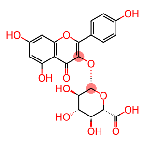 Kaempherol 3-O-β-glucuronide Kaempferol 3-O-β-D-glucuronide
