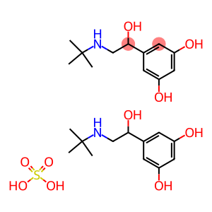 1-(3,5-dihydroxyphenyl)-2-tert-butylaminoethanolsulphate