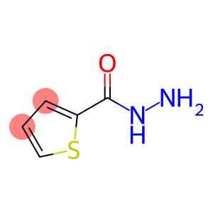 噻吩-2-羧酸肼