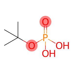 Phosphoric acid, mono(1,1-dimethylethyl) ester