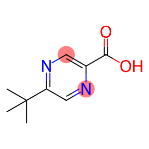 5-吡嗪-2-羧酸叔丁酯