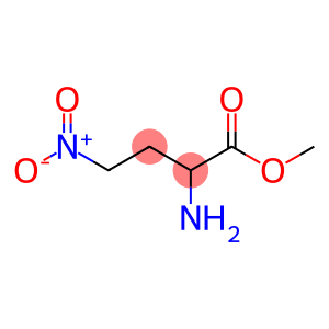 Butanoic acid, 2-amino-4-nitro-, methyl ester (9CI)