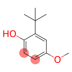 2(3)-t-Butylhydroquinone monomethyl ether BHA