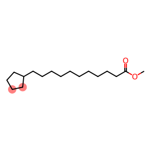 11-(Cyclopentan-1-yl)undecanoic acid methyl ester