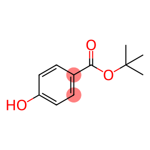 4-羟基苯甲酸叔丁酯