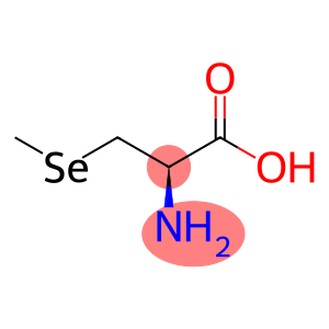 L- selenium - methyl selenocysteine