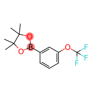 1-(4,4,5,5-Tetramethyl-1,3,2-dioxaborolan-2-yl)-3-(trifluoromethoxy)benzene