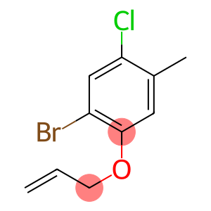 1-bromo-5-chloro-4-methyl-2-(prop-2-yn-1-yloxy)benzene
