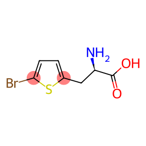 (2R)-Amino-3-(5-bromothiophen-2-yl)propionic acid