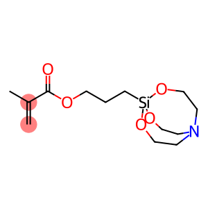 2-Propenoic acid, 2-methyl-, 3-(2,8,9-trioxa-5-aza-1-silabicyclo[3.3.3]undec-1-yl)propyl ester